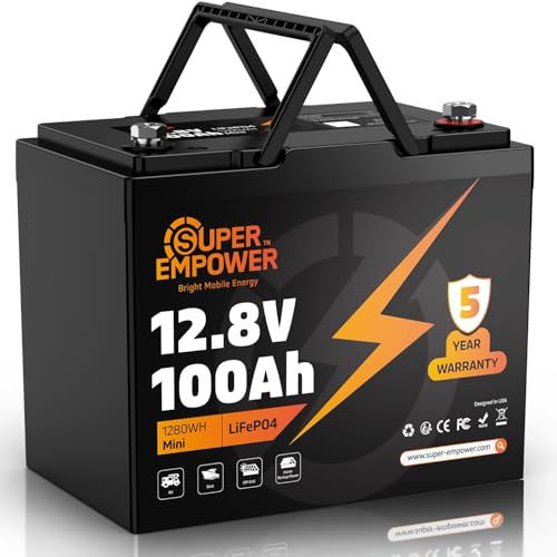 12V 100Ah LiFePO4 Lithium Battery, BCI Group 24 Deep Cycle Solar Battery with Low-Temp Protection, 100A BMS, 1280Wh, 15000 Cycles, 10-Year Lifespan for RV, Marine, Trolling Motor, Marine, Solar Use