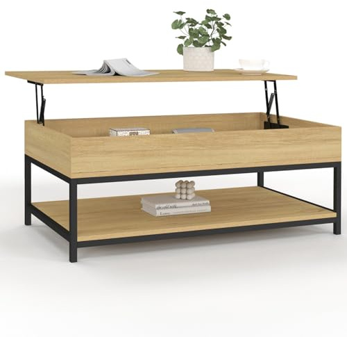 IDMarket - Table Basse Plateau relevable intégral rectangulaire Detroit et étagère inférieure Design Industriel