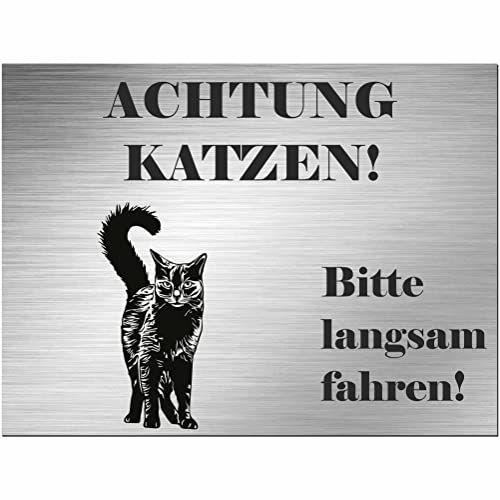Indigos UG - Schild Nebelung katze - bedruckt - Achtung Katzen! - Aluverbundplatte Edelstahl Look - 80x60 cm - Spruch - Deko Geschenkidee Katze - Zaun - Türschild - Hinweisschild - Warnschild