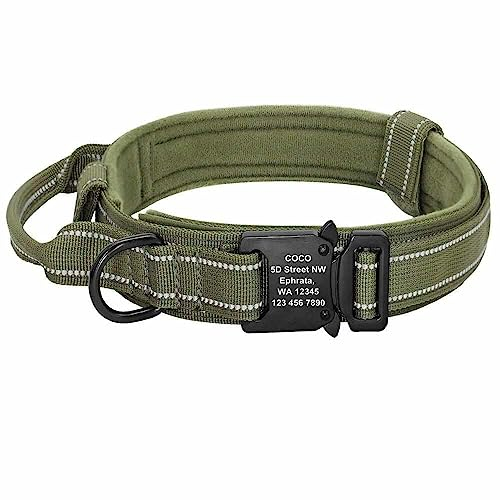 Taktisches Hundehalsband mit Name graviert – Robustes Nylon für maximale Ausdauer – Individuell graviert in Deutschland mit Name, Anschrift & Telefon Grün/M 36-48cm