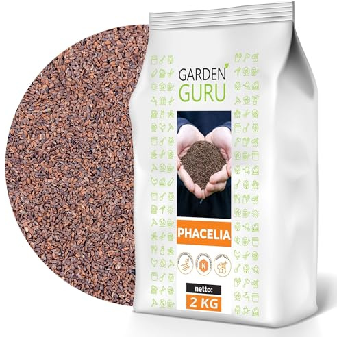 Phacelia 2 kg Bienenfreund Gründünger, Frischmantelsamen Saatgut Humusbildung Bodenverbesserung Bienenweide