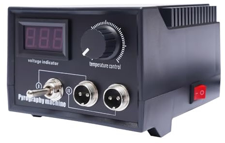 Brandmalerei Set 60W Pyrography Machine, Brandmalstation Brennkolben Set mit 19pcs Lötspitzen, Brandmalerei Brandmalgeräte von 0-750°C, für Holz, Leder und Kork DIY