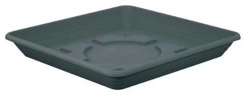 Nora Soucoupe carrée en plastique pour pot de fleurs 50 x 50 cm charbon