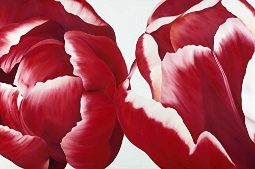 ART-PRINT-on-matt-paper-220gr- Together Poelstra-Holzhaus Yvonne - Europäisches horizontales Bild Blume Tulpenblatt rot geschlossen holländisch modern weiß Kunstdruck 25_X_38_in