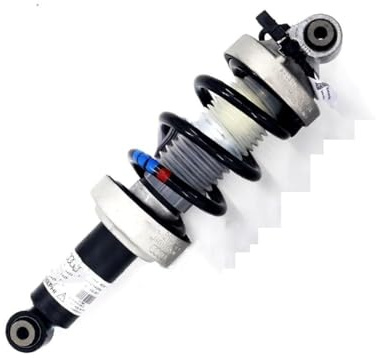 suspension pneumatique avec 1X Amortisseur Avant Gauche Et Droit Assy Pour R8 09-15 420412019AJ 420412019Q 420412020AJ /020Q 420512019S sac à ressort pneumatique(Avant gauche)