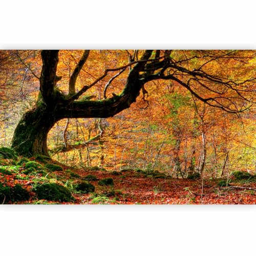 Fotomurale - Carta da Parati Moderna per Soggiorno, Natura, 450x270 cm