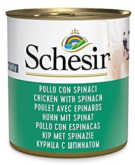 Schesir, Cibo Umido per Cani Adulti al Gusto Pollo con Spinaci, Filetti in Morbida Gelatina - Totale 4,56 Kg (16 Lattine da 285G)