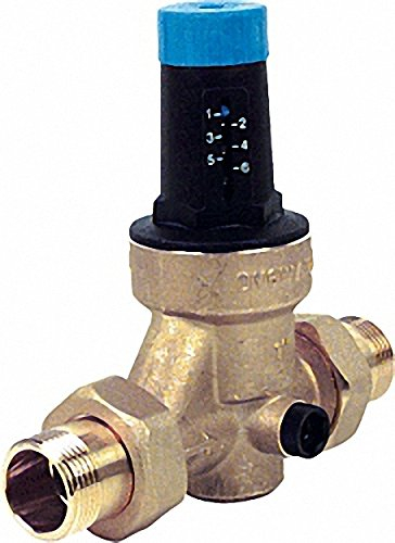 WATTS Druckminderer mit Gewindetüllen 1 1-4''