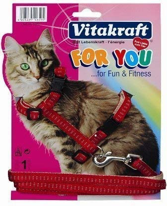 Vitakraft Katzengeschirr mit Leine aus Nylon - Soft Style