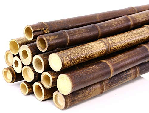 tube de bambou naturel en marron noir, par. 3,5 à 4 cm, longueur 400 cm