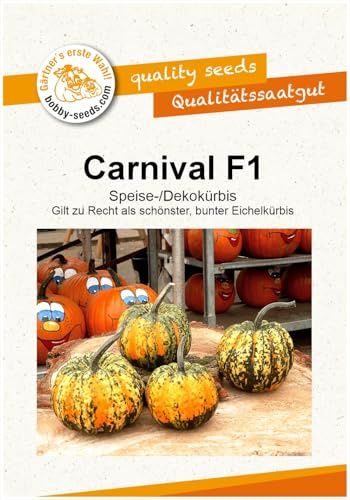 Carnival F1 Kürbissamen von Bobby-Seeds Portion