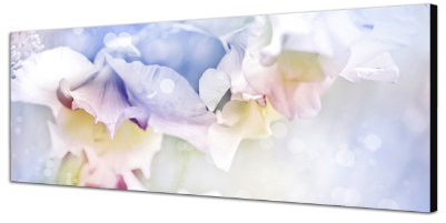 Augenblicke Wandbilder Keilrahmenbild Wandbild 150x50cm Blumen Blüten Großaufnahme Farbfilter