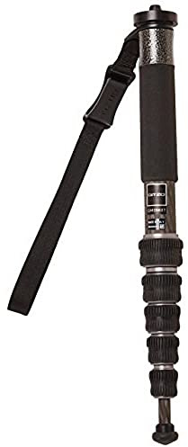 Gitzo gm2562t Series 2 Traveler Carbon Fiber 6 Abschnitte Einbeinstativ (schwarz)