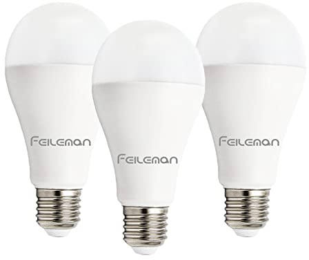 Feileman Lampadina LED E27, luce bianca calda, 20 W, super luminosa, 3000 K, E27, 20 W, 2500 lm, sostituisce lampadina alogena A65, ad alta luminosità, ultra luminosa, non dimmerabile, confezione da 3