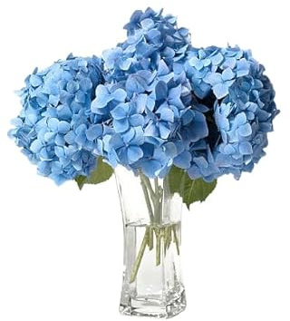 Bouquet de Hydrangea Azul Hortensia con 10 Flores Aromáticas y Frescas