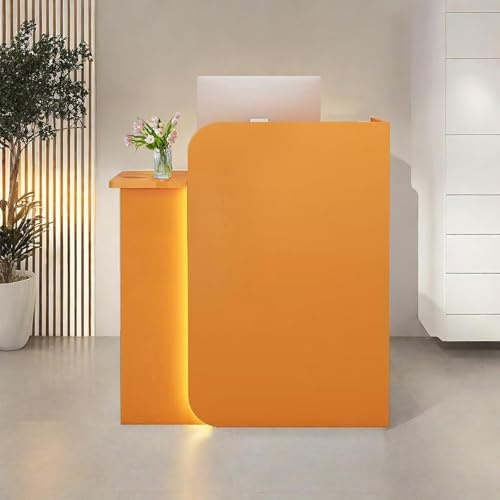 NEYTIIR Rezeption,Tresen Bar Theke,Empfangstresen,Rezeptionstheke,Counter Computerschrank,Empfangstheke,Hausbar Theke,Nagelstudio Tisch,Tresen Bartheke(F,100CM)