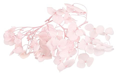 HOOTNEE 1confezione Pack Ortensia Essiccati Per Decorazioni Freschi Conservati Rosa Per Matrimoni e