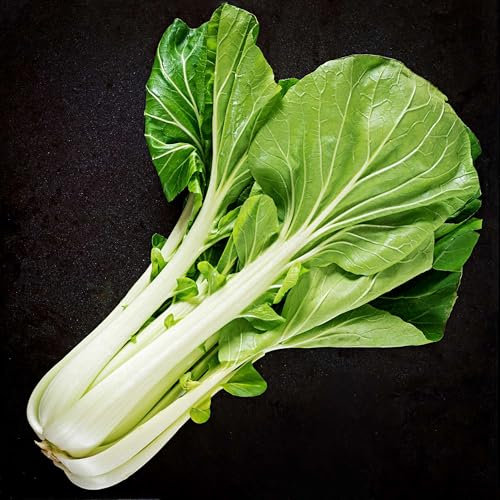 Graines de Chou de Chine Pak Choi - Sachet de 1 gramme - Graines de style