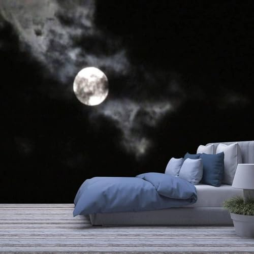 Fotomurale Carta Da Parati Autoadesiva 3D Paesaggio Lunare Notturno 250(W) X175(H) Cm Camera Dei Bambini Bar Ufficio Soggiorno Ristorante Negozio Di Corridoio Hotel Decorazione Del-3244815
