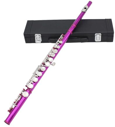 Anfänger-Flöteninstrument 16-Loch-Flöte C-Taste