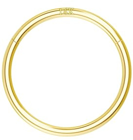 OUFER Body Piercing Nose Ring Hoop 20G Small Nose Ring Hinged Segment Helix Lip Rings Thin Nose Hoop Piercing Gold Cartilage Daith Rook Tragus Conch Earrings Jewellery