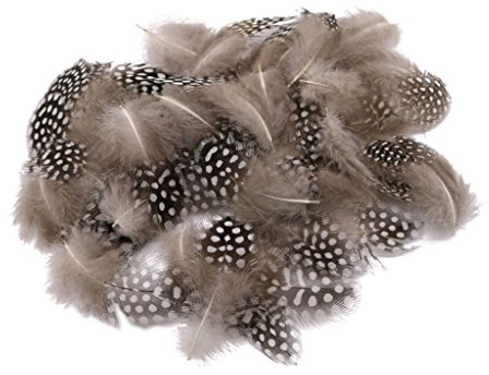 50pz Lotti Tintura Faraona Gallina Piume Di Pollo Natura 5-10cm
