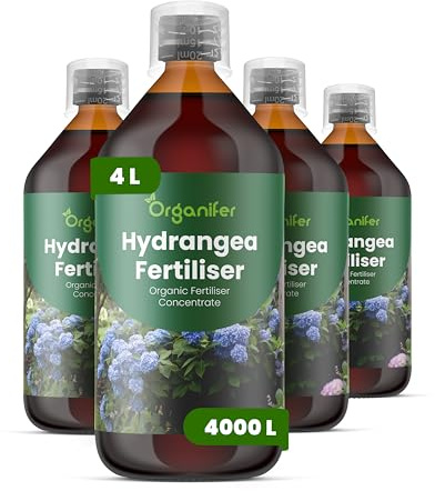 Engrais liquide organique 4x1L pour hortensias – stimule fleurs et vitalité – Organifer