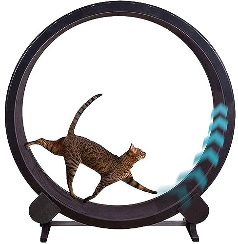 Cat Wheel Cat Treapmill För Inomhus,Enkel Installation Och Tyst Löpande Hjul,Med Låsmekanism,Fitness Viktminskningsenhet Söt Kattmöbel