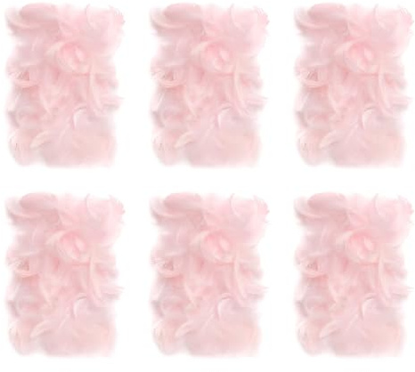Netuno 900 Stück Deko Federn Rosa 60g Flaumfedern farbige Schmuckfedern Vogelfedern Bastelfedern Natur für DIY Basteln Dekoration Ostern Weihnachten Dekofigur