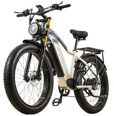 BURCHDA E Bike elektrofahrräder Herren Damen, Ebike 48V 20Ah(960Wh) Akku bis 120km, 26x4 Zoll Electric Bike 7-Gang Getriebe mit LCD-Display, E Fahrrad 250W Motor 80 N.m 25km/h, RX50 (RX50 Gold)