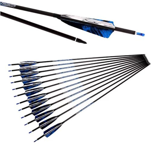 ACCMOS 12 Stück Spine 250 300 340 400 500 600 700 800 Pfeil aus Reinem Kohlenstoff ID 6,2 mm 28-33 Zoll Jagdpfeil 4 CamoTurkey Feder, für Erwachsener Junge Bogensport (Spine 300, 32inch)