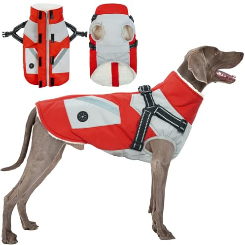 Winter Hundemantel wasserdichte, Hundemantel Winter mit Geschirr Warm Hundekleidung Winter Jacke Warme Hunde Weste Winter Outfit Winddichte Hundebekleidung Schneeanzug Hunde(Rot, 3XL)