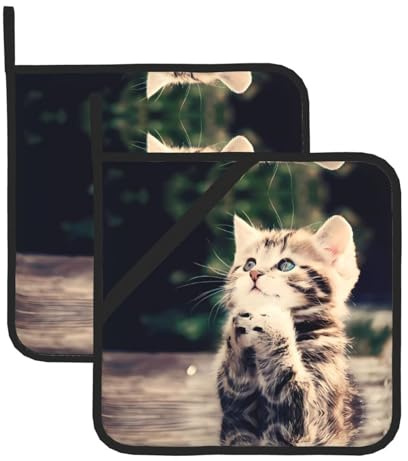 Set di presine con stampa di gatti, presine resistenti al calore, confezione da 2 guanti da cucina per forno, barbecue, microonde