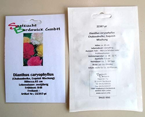 Gartennelken (Landnelken) bunte Mischung