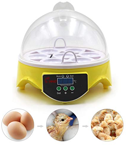 MUYIRTED Brutmaschine 7 Eier, Digital LED Display Inkubator Hühner Brutautomat, Brutkasten für Huhn Ente Wachtel Reptilien Schildkröten Vogel, Einstellbare Temperatur