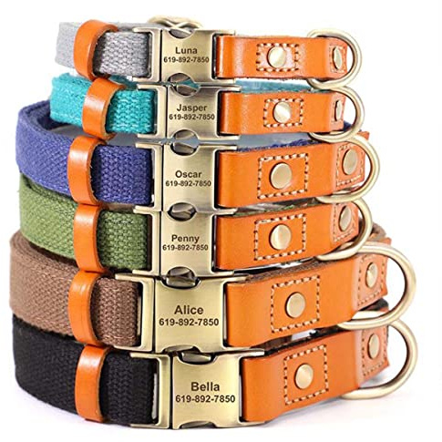 Hundehalsband Personalisiertes graviertes Namensschild ID, Schnellverschlussschnalle, Verstellbare, Strapazierfähige Nylonhalsbänder für Hunde