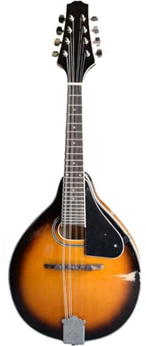 Mandolin Instrument Kit Spruce Panel Round Hole Accessories Eight-string Mandolin Instrument Mandolin(Orange)