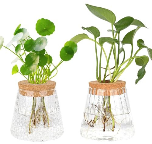 MJFENDAI 2 Stück Hydrokultur Pflanzen Terrarium, Vintage Kleine Vasen für Tischdeko, Glasvase Propagation Station Kugelvase für Plant Blumen Zimmerpflanzen Pflanze Hydrokultur