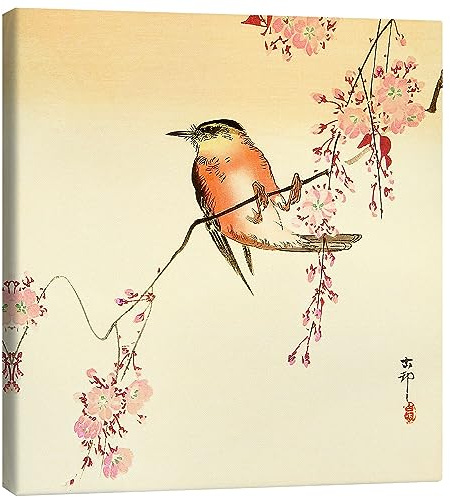 Posterlounge Pájaro rojo y flores del cerezo Lienzo de Ohara Koson 40 x 40 cm Beige Cuadros Decoración para la pared