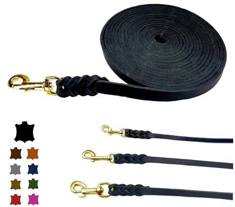 Hundeleine Fettleder/Schleppleine Leder Messing/Lederleine kleine Hunde & große Hunde / 2m / 3m / 5m / 10m / 15m /20m (Schwarz OHNE Handschlaufe, 10m / 8mm)