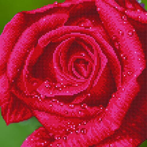 DIAMOND DOTZ DD5.039 - Original 5D Diamond Painting Set Rose, Kreativset mit 10.449 Diamant Mosaiksteinen, Malset ca. 31 x 31 cm, DIY Komplettset für Erwachsene und Kinder ab 8 Jahren