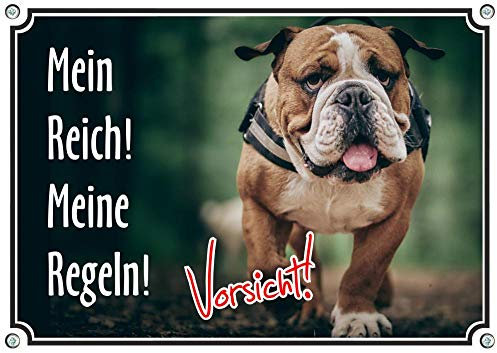 Petsigns wunderschönes Hundeschild - Englische Bulldogge - Warnschild hochwertig - aus Metall, DIN A4