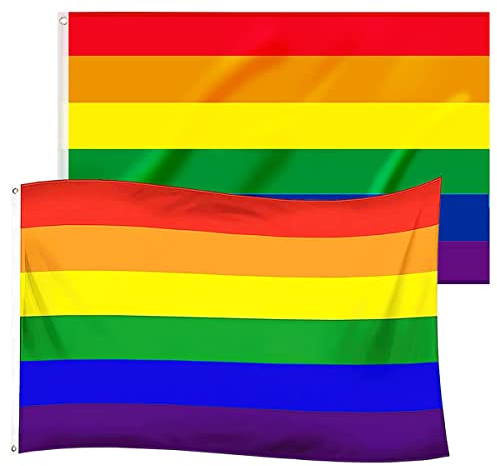 Hillylolly Drapeau Lgbt Arc-en-Ciel 2 Pièces, 90x150cm Pride Rainbow Flag avec Œillets en Laiton pour Pride Week, Décor de Room, Jardin (Gay)