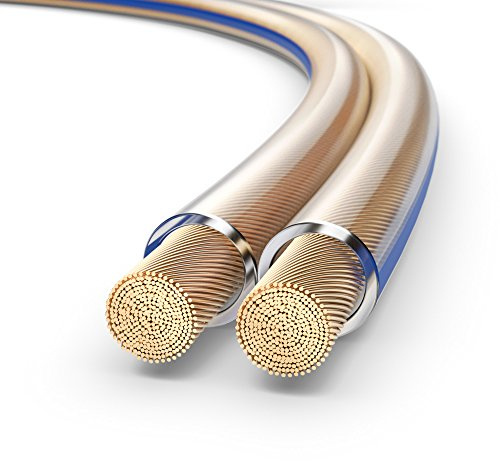 PureLink SP020-010 Cavo per diffusori 2x4,0 mm² (filo 99,9% OFC rame pieno 0,10 mm) Cavo per diffusori HiFi, 10 m, trasparente