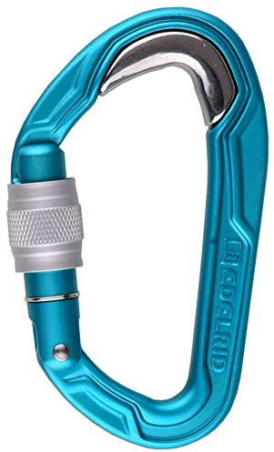 EDELRID Verschlusskarabiner Bulletproof Screw, icemint (329)