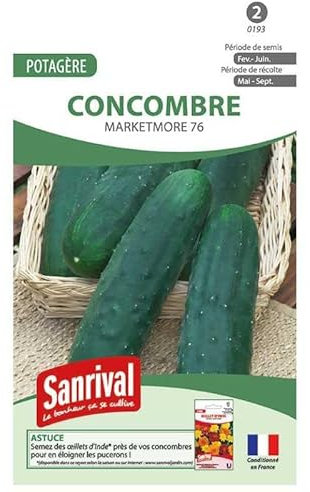 Graines Concombre Marketmore 76