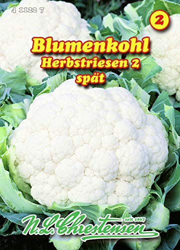 Blumenkohl, Herbstriesen 2 spät N.L.Chrestensen Samen 411227-B
