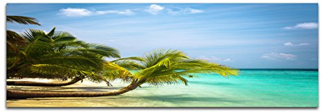 Paul Sinus Art Panoramabild auf Leinwand und Keilrahmen 150x50cm Malediven Meer Strand Palmen Natur