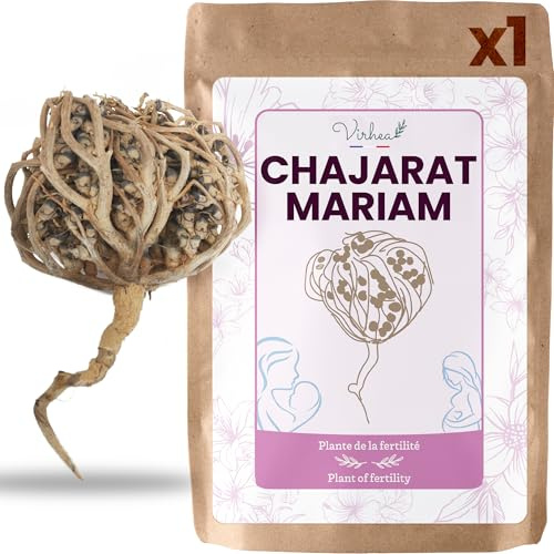 VIRHEA® Rose von Jericho Chajarat Mariam x1 - Echte Maryam Pflanze - Wunderschöne Kaf Pflanze für Dekoration - Ideal für Ihre Wohnung oder als Geschenk