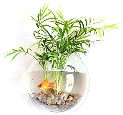 Kavolet Wall Fish Bowl, Small Hanging Goldfish Fish Tanks, Clear Acrylic Betta Fish Tank, for Aquarium Wall Plant Pot Decoration Planter Flower